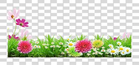 Download Grass Flower Stickers Picsart Frames Grass Flower Background PNG file