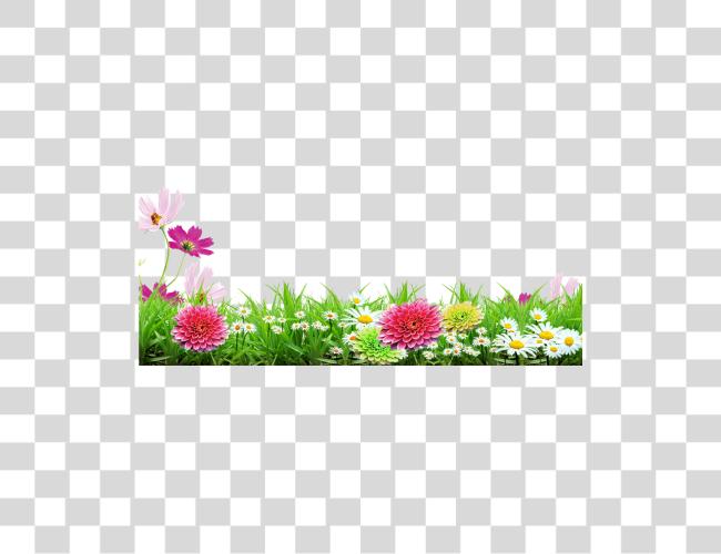 Download Grass Flower Stickers Picsart Frames Grass Flower Background Clip Art