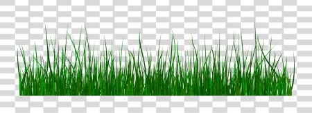 تحميل أخضر Grass Grass Gif بي ان جي ملف