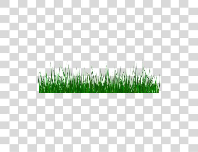 Download verde Grass Grass Gif Clip arte