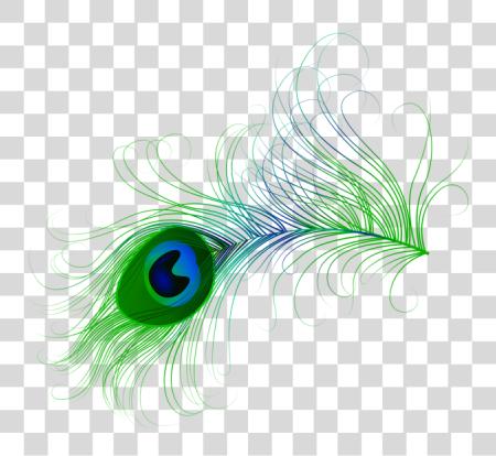 Download colección Of Peacock vector Nouveau Peacock Feather PNG file