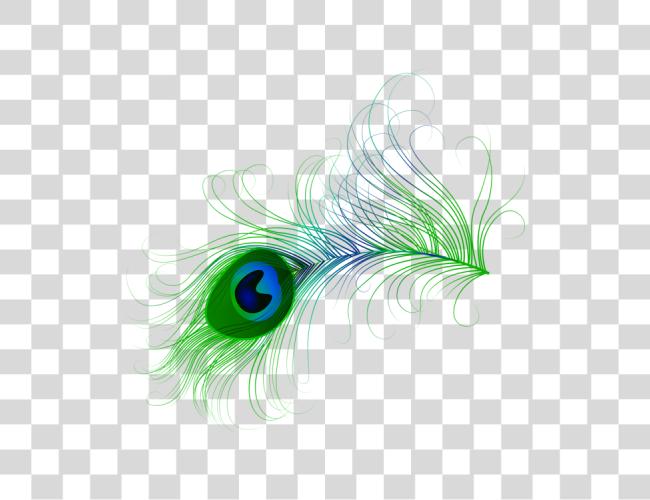 Download colección de Peacock vector Nouveau Peacock Feather Clip arte