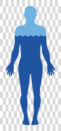 Download cuerpo Image humano cuerpo Water PNG file