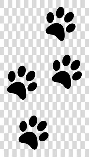 Download Dog Foot Print PNG file