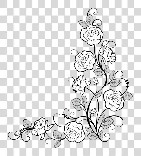 Download frames frame corner corners borders border roses Flower Vine Border Drawing PNG file