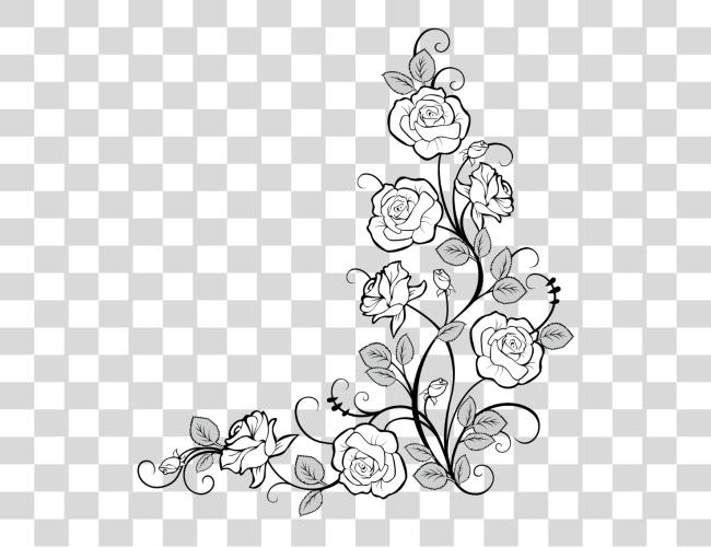 Download frames marco corner corners borders border rosas flor Vine Border dibujo Clip arte