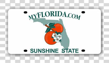 下载 Florida License Plate Blank Florida License Plate PNG file