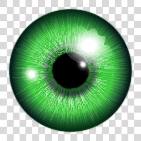 Download Eye Green Eye Ball PNG file