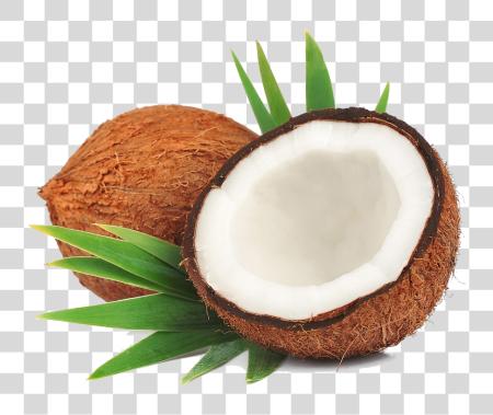 Download Coconut File Coconut Mature PNG file