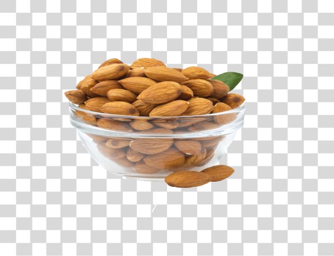 Download plate of Almonds Clip Art