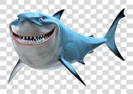 Download Findingnemo Bruce Shark Scseacreatures Bruce Shark PNG file