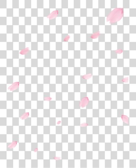 Download Picture Library Cherry Blossom Flower Polka Dot PNG file