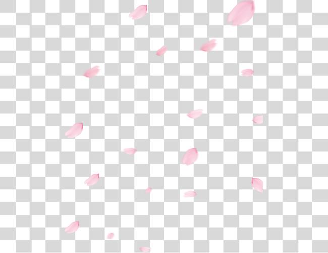 Download Picture Library Cherry Blossom Flower Polka Dot Clip Art