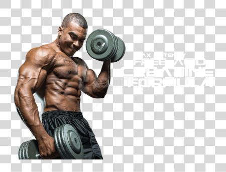 تحميل عضلة Man كمال أجسام Workout بي ان جي ملف